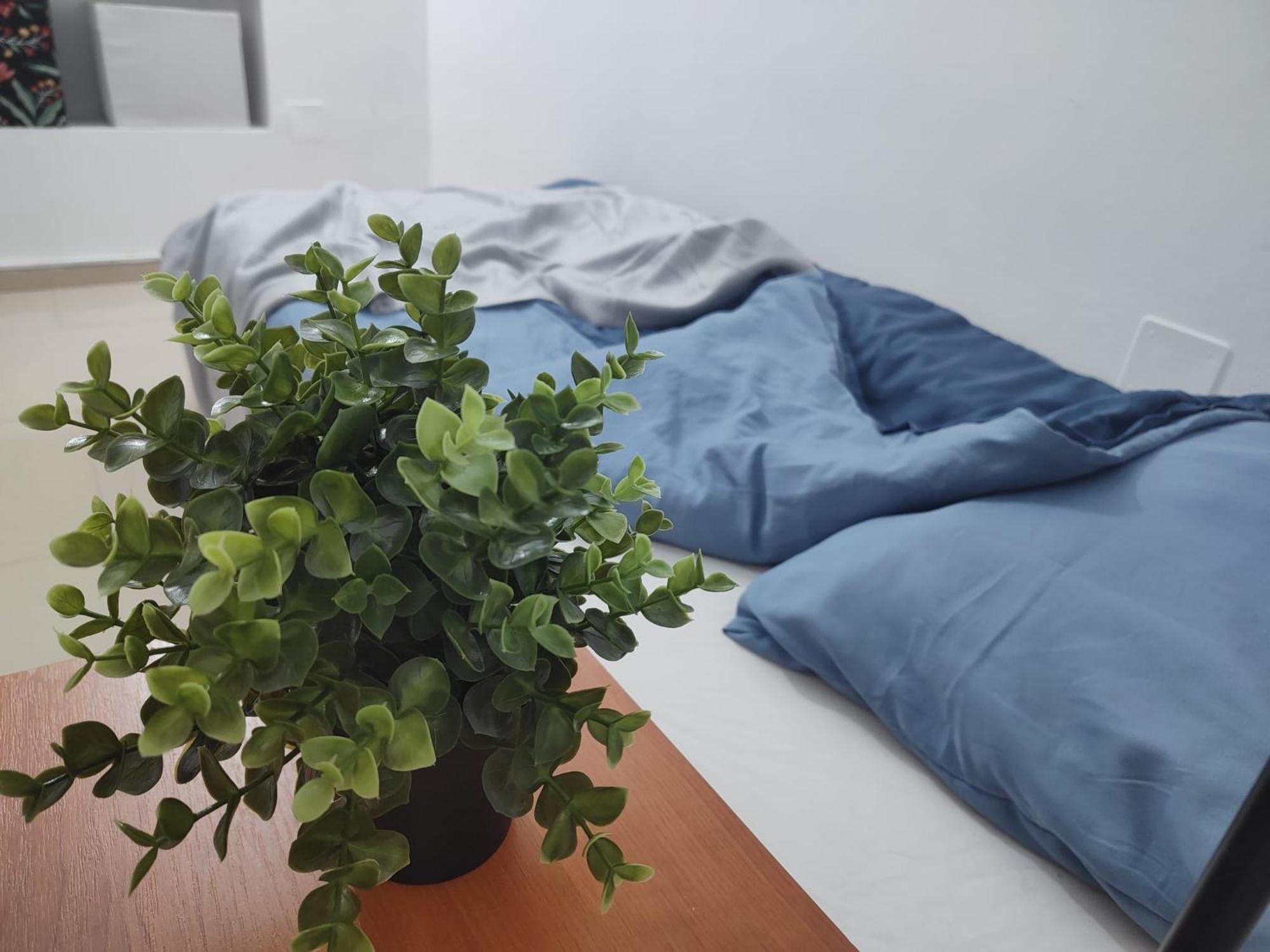 Old Town Bucharest- Shared Homestay